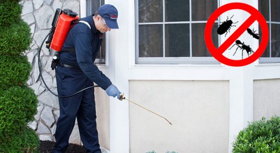Pehlivanköy Kemirgen İlaçlama böcek ilaçlama ve haşere kontrolü — ilaclama-tr.com
